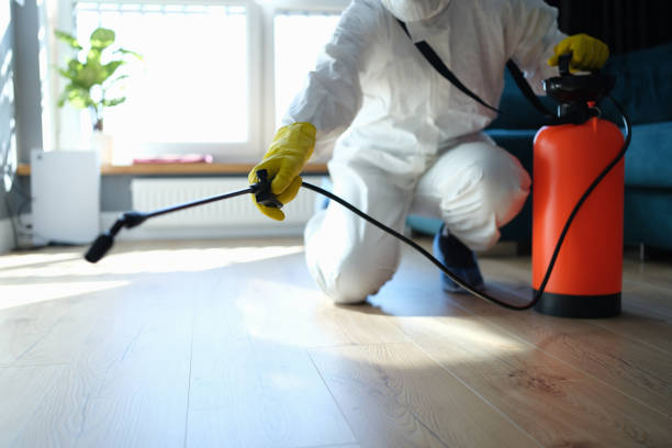 Reliable Biohazard Cleanup contractor in Palestine, IL by Trauma Clean Pros